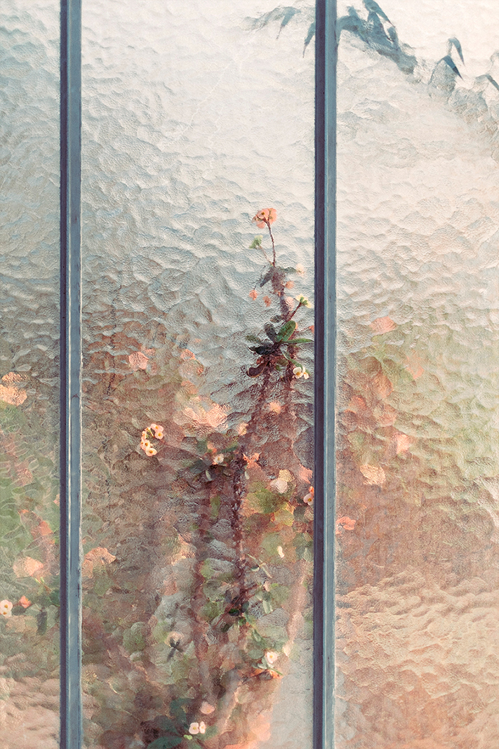 samuel-zeller-geneva-botanical-gardens-02